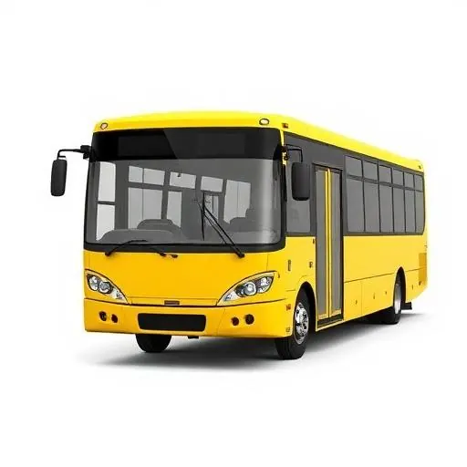 Buses & Microbuses